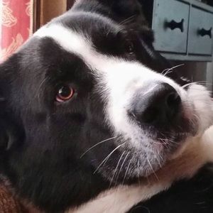 Meet your Posher, Barbara